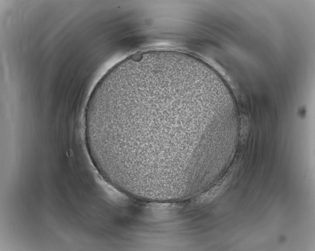 X0000099521474200805291201