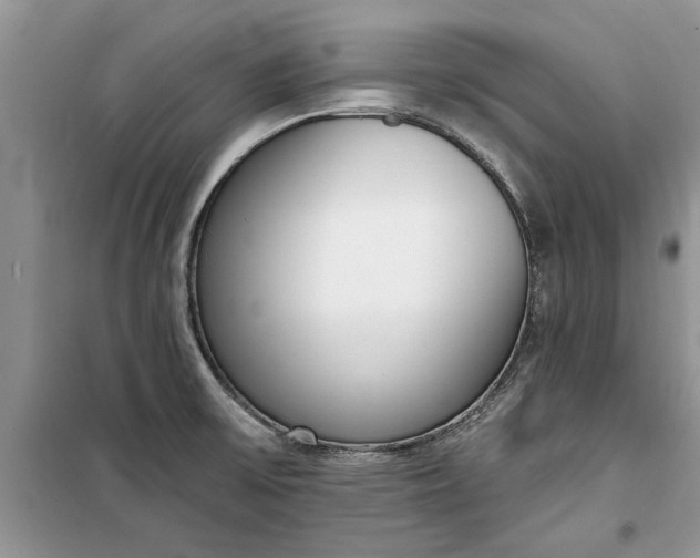 X0000099521475200805291201