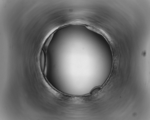 X0000099521476200805291200