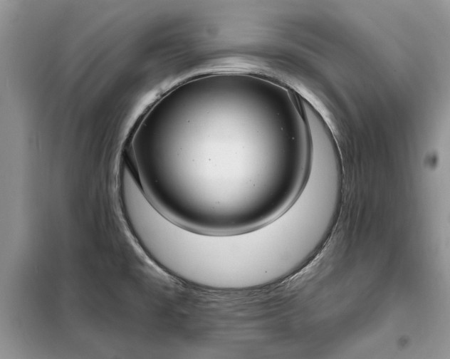 X0000099521477200805291200