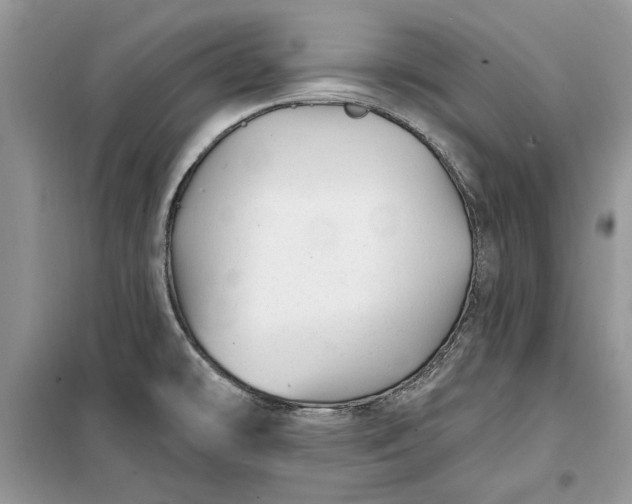 X0000099521478200805291200