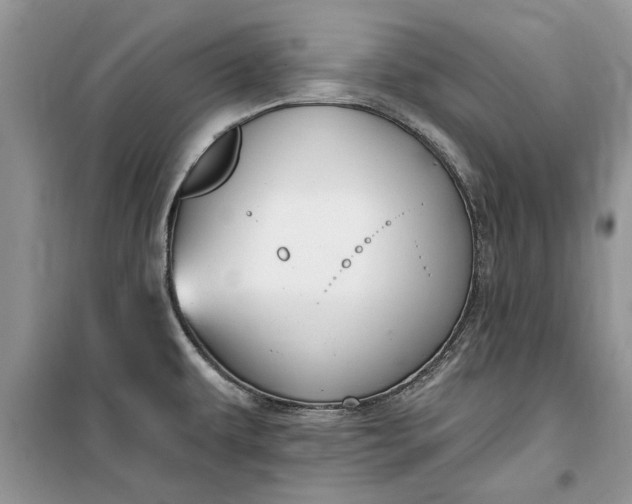 X0000099521479200805291200