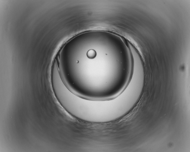 X0000099521480200805291200
