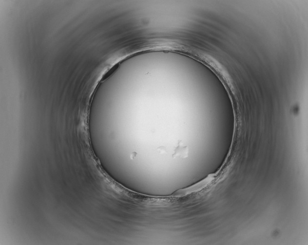 X0000099521481200805291200