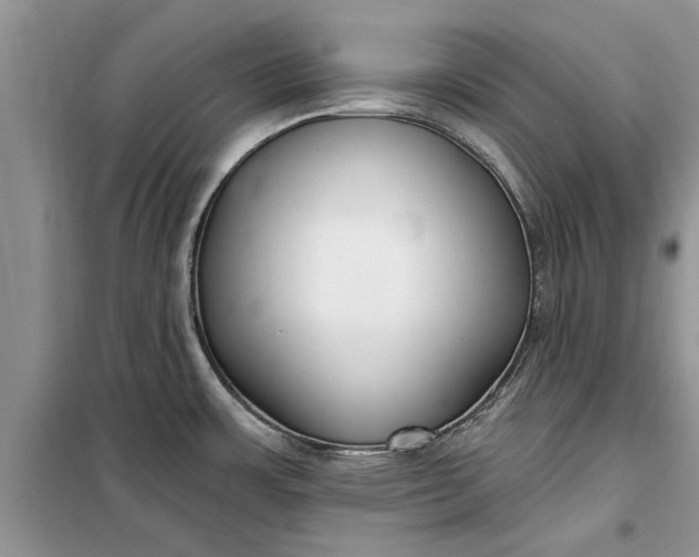 X0000099521483200805291200