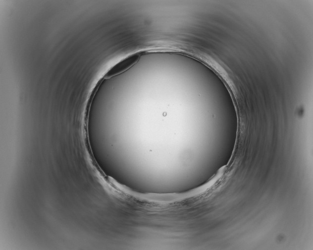 X0000099521485200805291200