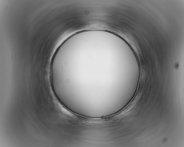 X0000099521486200805291200