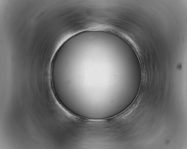 X0000099521487200805291200