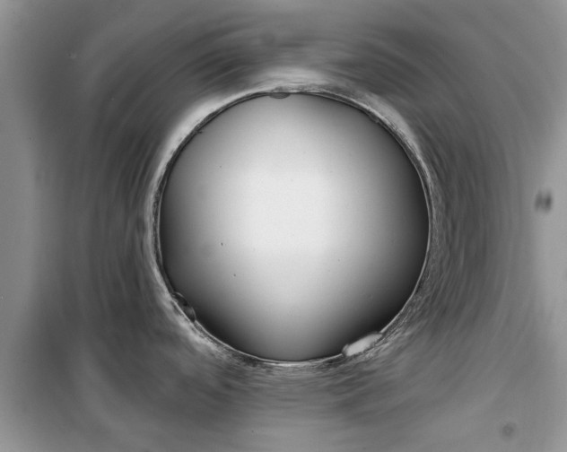 X0000099521488200805291200