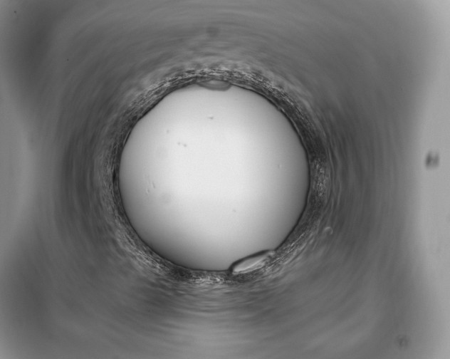 X0000099521489200805291200