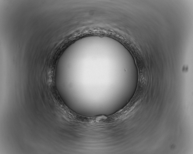 X0000099521490200805291200