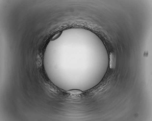 X0000099521491200805291200