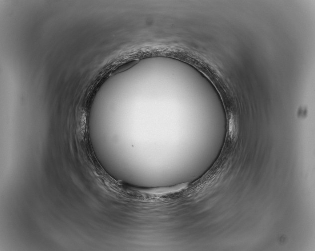 X0000099521492200805291200