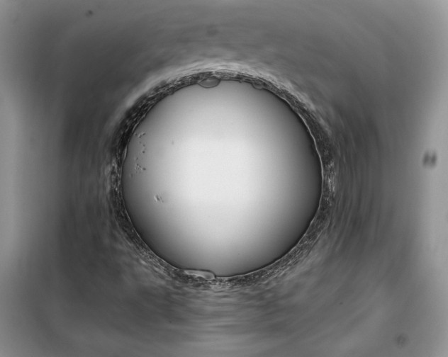 X0000099521495200805291200