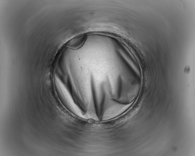 X0000099521497200805291200