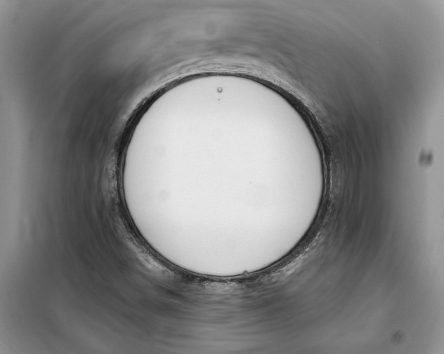 X0000099521498200805291200