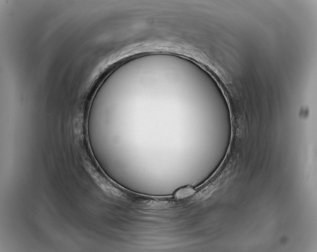 X0000099521499200805291200