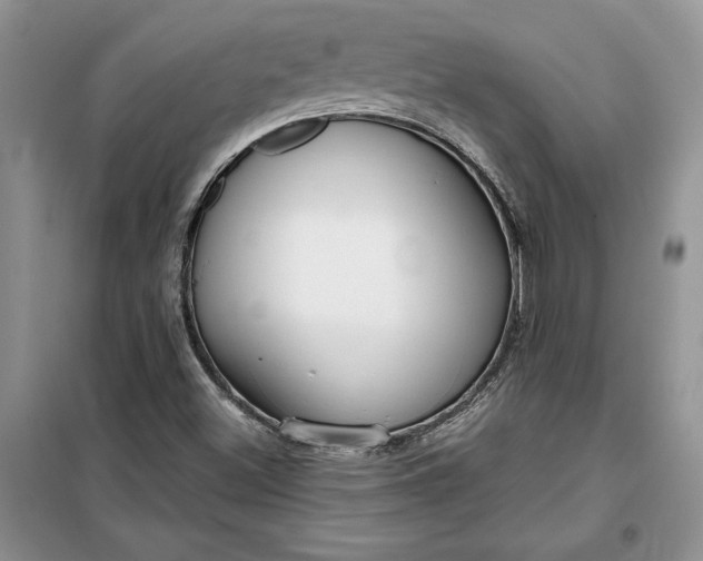 X0000099521500200805291200