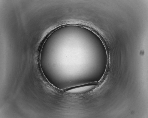 X0000099521501200805291200