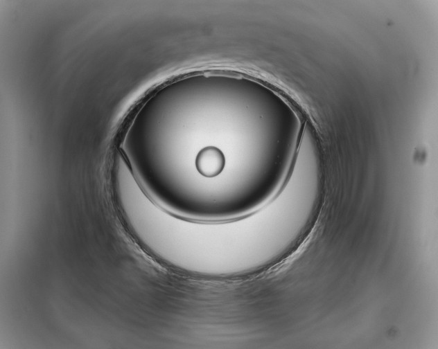 X0000099521502200805291200