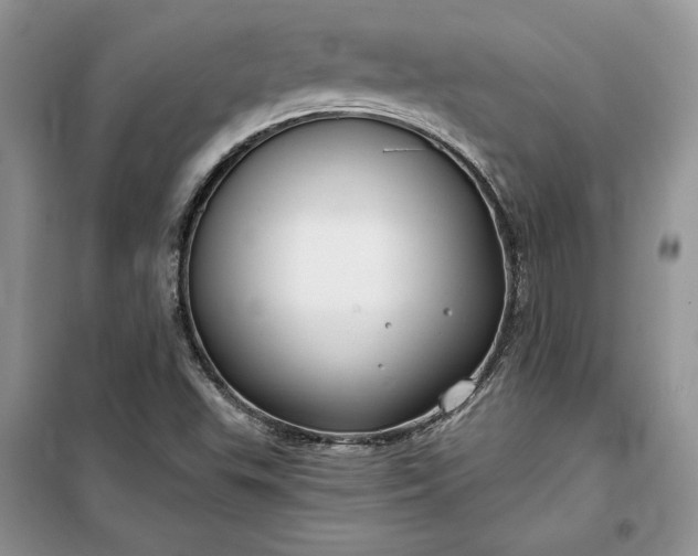 X0000099521503200805291200