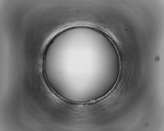 X0000099521504200805291200