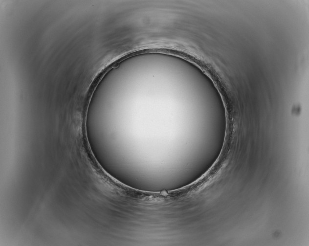 X0000099521505200805291200