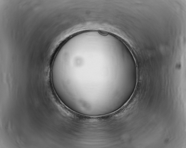 X0000099521507200805291200