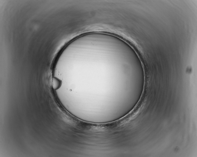 X0000099521509200805291200