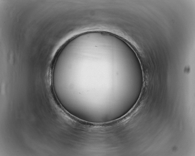 X0000099521510200805291200