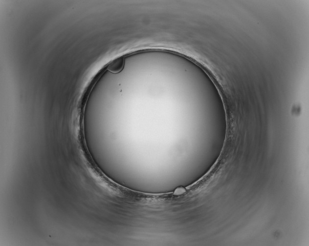 X0000099521511200805291200