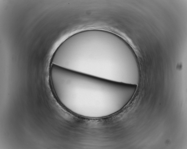 X0000099521512200805291200