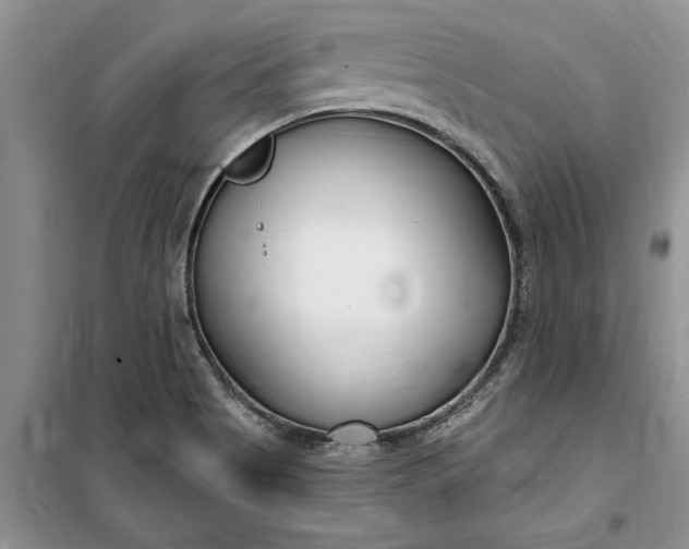 X0000099521513200805291200