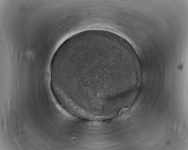 X0000099521515200805291200