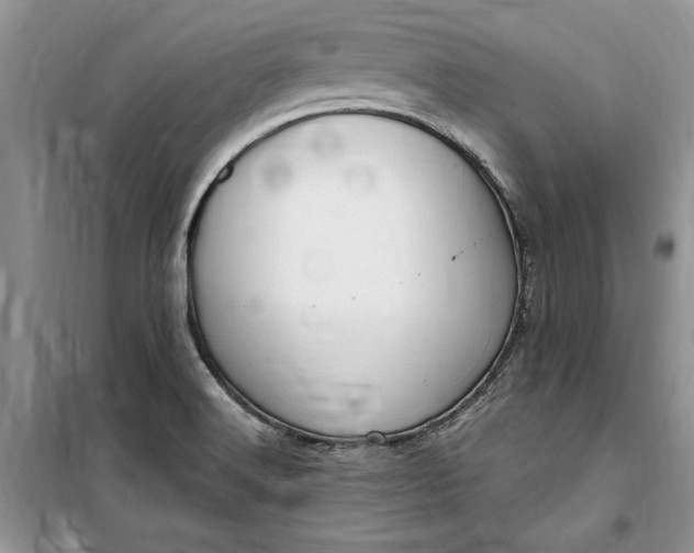 X0000099521516200805291200