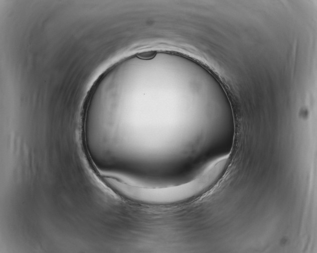 X0000099521518200805291200