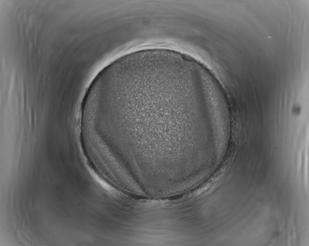 X0000099521519200805291200