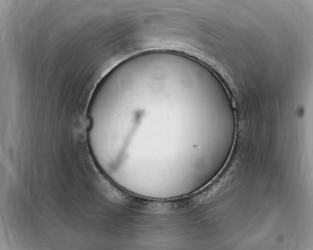 X0000099521521200805291200