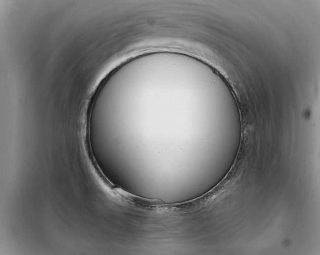 X0000099521523200805291200