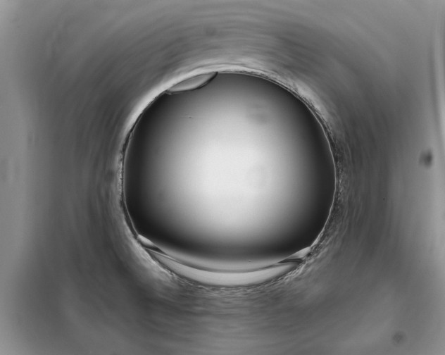 X0000099521524200805291200