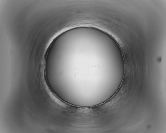 X0000099521526200805291200