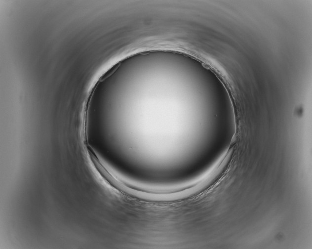 X0000099521528200805291200