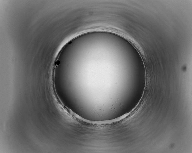 X0000099521530200805291200