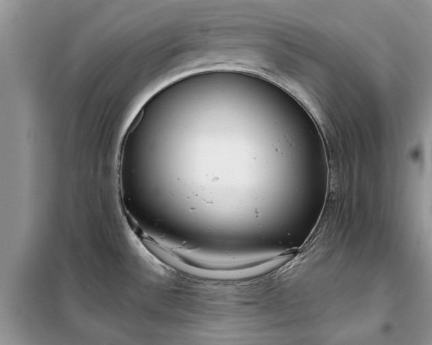 X0000099521532200805291200