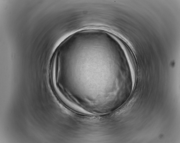 X0000099521533200805291200