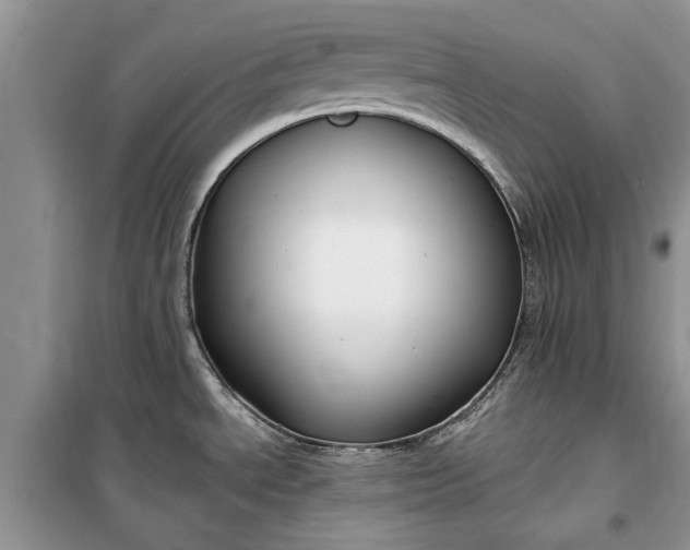 X0000099521534200805291200