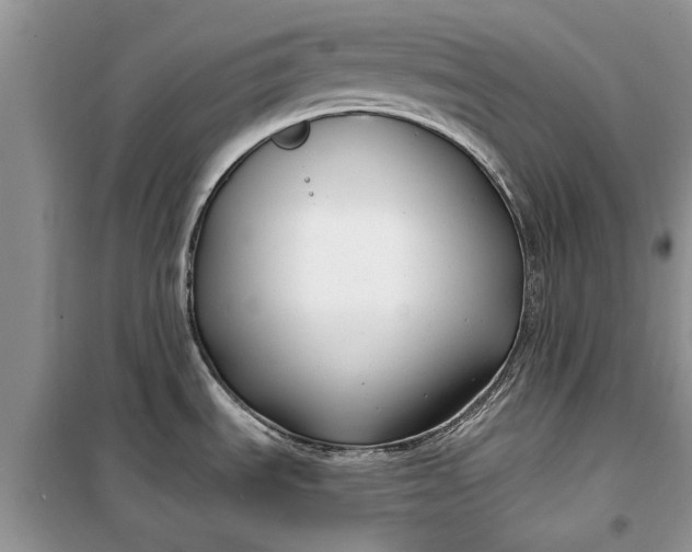 X0000099521535200805291200