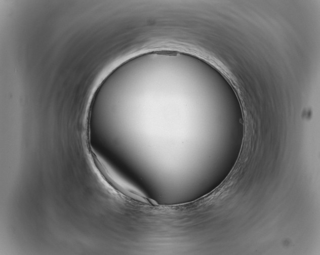 X0000099521536200805291200