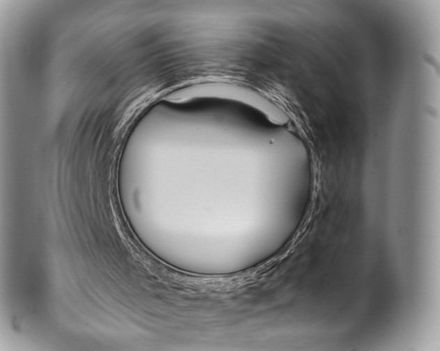 X0000099520001200806051222