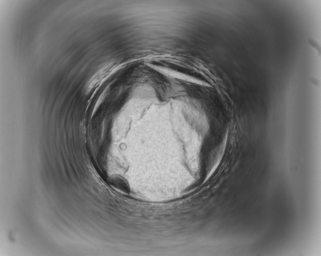 X0000099520002200806051222